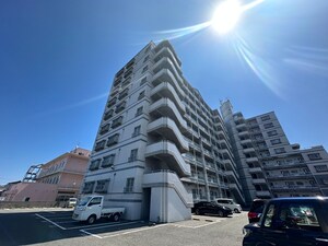 エムズコート沼本町D