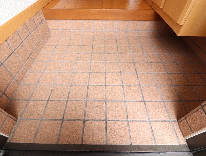 玄関 サザンクロスＢ