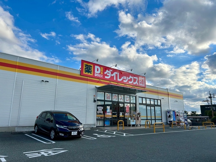 ダイレックス古賀舞の里店(スーパー)まで1000m サザンクロスＢ