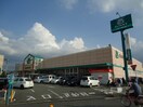周辺環境 アヴァンティ緑ヶ丘
