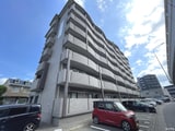 シャトレ天拝