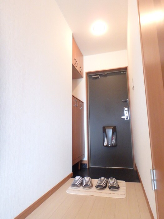 玄関 ＬＩＯＮ　Ｈｉｋａｒｉ