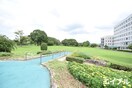 久留米百年公園(公園)まで700m ア－ニスト新合川