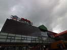 ドンキホーテ箱崎店(ディスカウントショップ)まで1700m LEXUS　GARDEN箱崎TOWERS　WEST