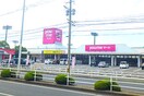ゆめマート本城店(スーパー)まで304m プリムローズ本城Ａ棟