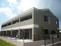 ＭＡＰＬＥ　ＴＲＥＥ