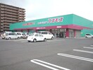 ドラッグストアモリ陣原店(ドラッグストア)まで209m シュロス陣原