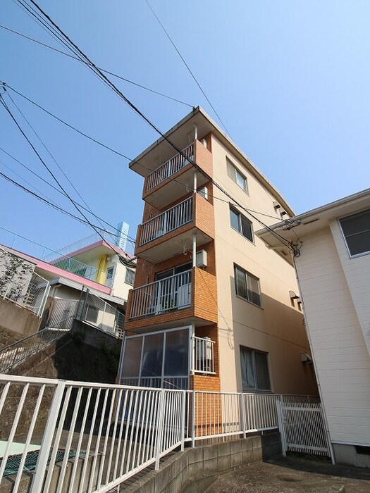 その他 パナムコート