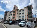 オレンジ横田