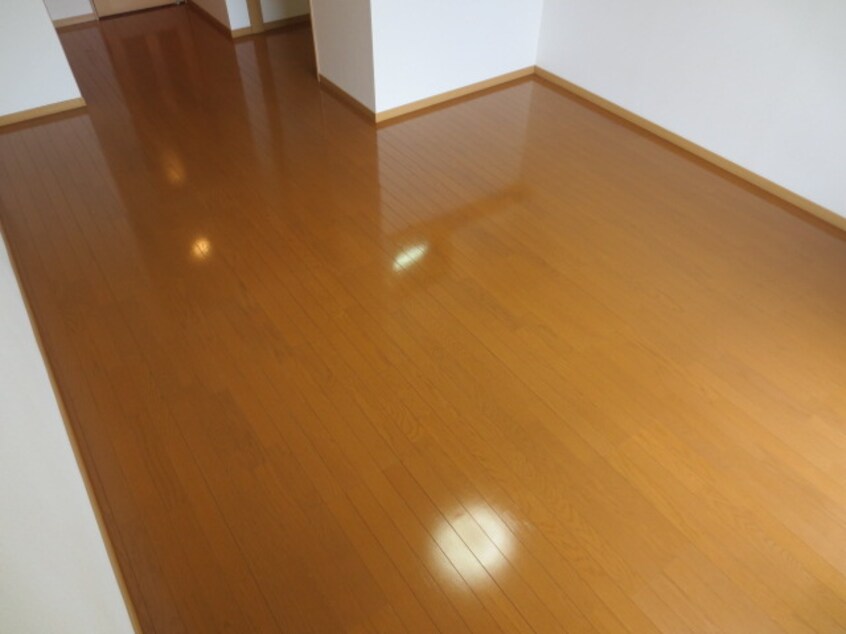 内観写真 エヴァーグリーン　Ｎ