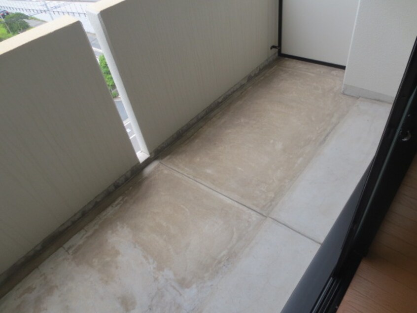 内観写真 エヴァーグリーン　Ｎ