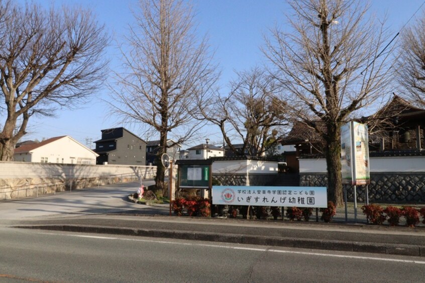 いぎすれんげ幼稚園(幼稚園/保育園)まで2600m グレイスハイツ　A棟