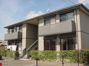 カモミール小森野