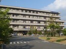 青洲会病院(病院)まで800m コ－ポ上野