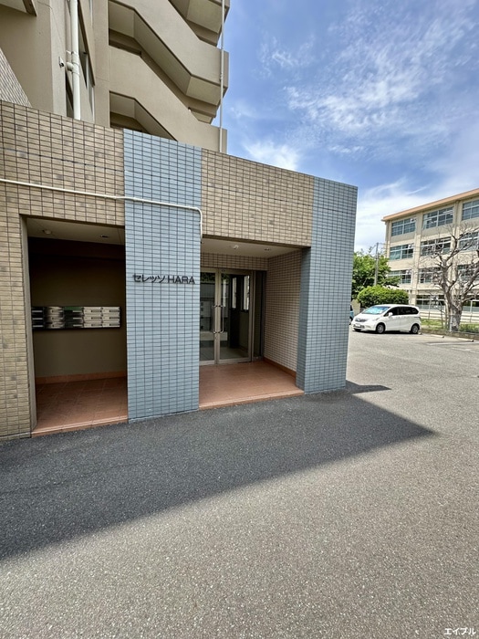 エントランス部分 セレッソＨＡＲＡ
