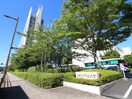 北九州市立大学(大学/短大/専門学校)まで375m アルバコ－ト