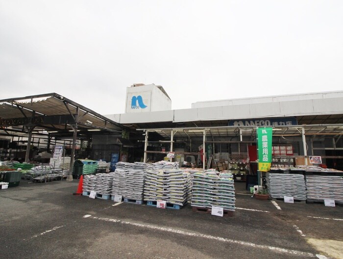 ホームプラザナフコ徳力店(電気量販店/ホームセンター)まで560m アルバコ－ト