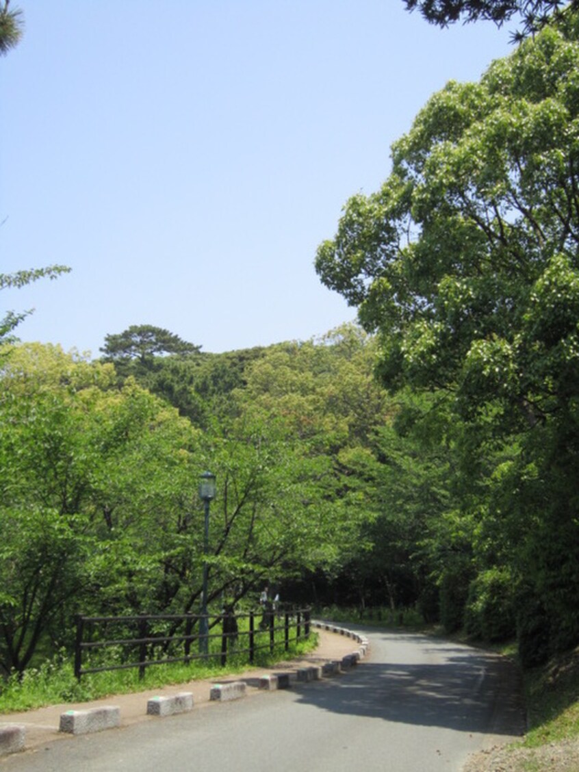 西公園(公園)まで260m メゾン サンコイエ