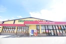 ドラッグストアモリ花畑店(ドラッグストア)まで350m ルミエール渡辺