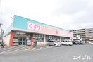 ドラッグセガミ諸岡店(ドラッグストア)まで350m リックメゾン