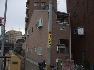 アルファピネン博多