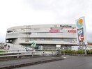 サンリブ三ヶ森店(スーパー)まで700m ロジェコウジ
