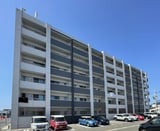 ＥＬＥＶＩＴＡ弥永