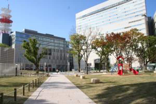 警固公園(公園)まで800m ｸﾞﾗﾝﾌｫｰﾚ大名ﾌﾟﾚﾐｱ(701)