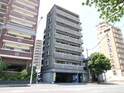 完成写真