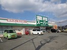 業務用スーパー(スーパー)まで326m レジデンス大土居