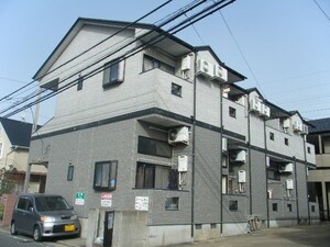 タートル弥永