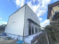 フリージア