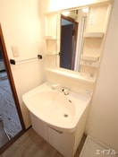 洗面 長尾グリーンハイツ