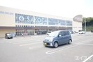 シュロアモール筑紫野(ショッピングセンター/アウトレットモール)まで800m メゾンドスリ－ゼ