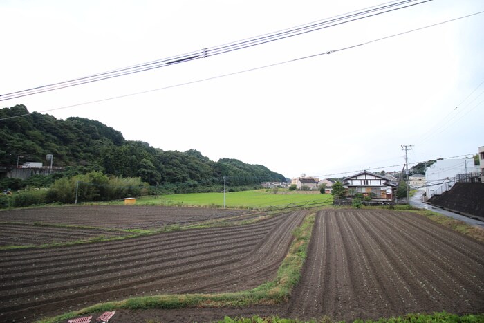 室内からの展望 フォレストピアＡ