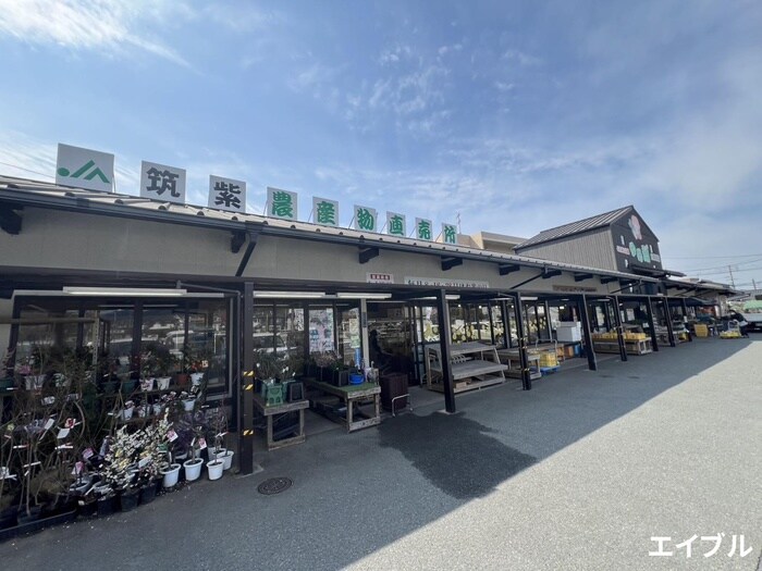 JA直売所ゆめ畑太宰府店(スーパー)まで2300m フォレストピアＡ