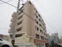 完成写真