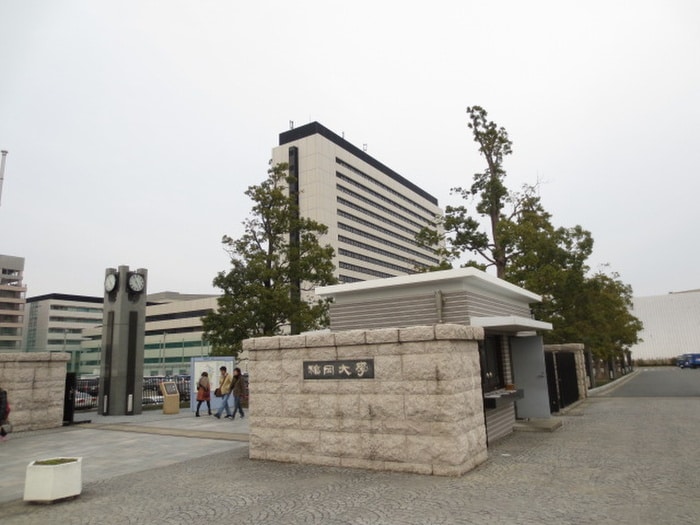 福岡大学(大学/短大/専門学校)まで537m ボーナム七隈