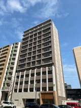 studie小文字通り