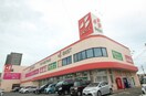 ベスト電器(電気量販店/ホームセンター)まで810m IT丸町
