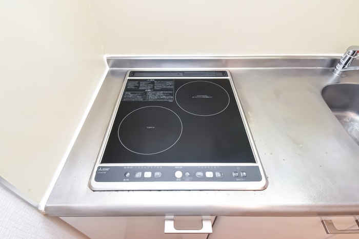 内観写真 サヴォイステディハウス（1003）