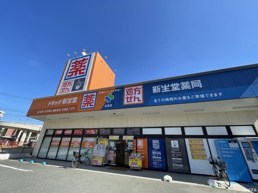 新生堂薬局 五条店(ドラッグストア)まで1330m シティコートⅡ
