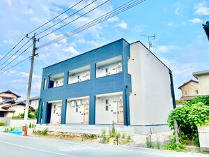 仮）チェリーブロッサム感田