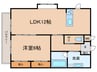 ゼルコバⅡ 1LDKの間取り