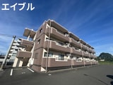サクラミレ　川津