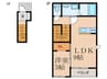 ルテナント 1LDKの間取り