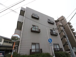 昭代アッシュ