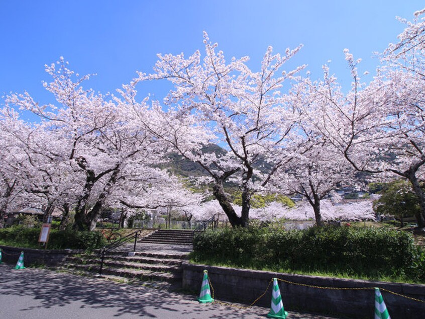 足立森林公園(公園)まで750m シュライン妙見レジデンス