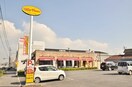 ジョリーパスタ(その他飲食（ファミレスなど）)まで220m インペリアル大賀Ⅲ