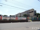日本経済大学(大学/短大/専門学校)まで100m ｇｌｏｒｙ